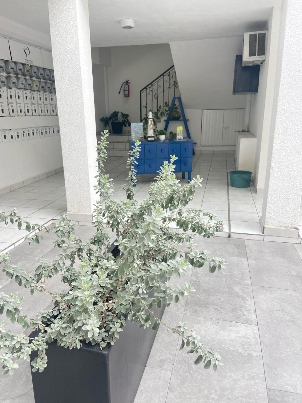 Maria Cristina Appartement Ciudad Valles Buitenkant foto
