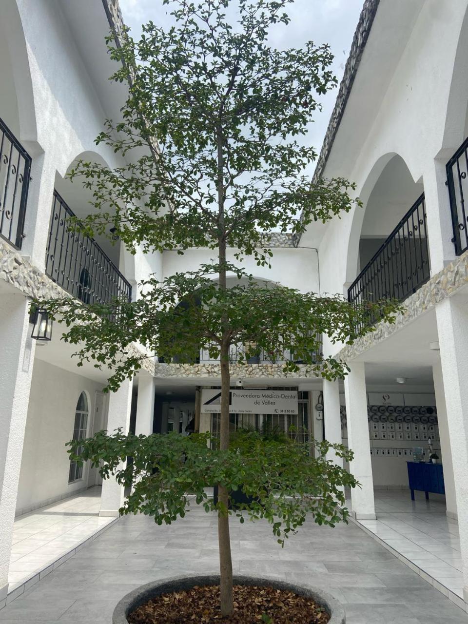 Maria Cristina Appartement Ciudad Valles Buitenkant foto